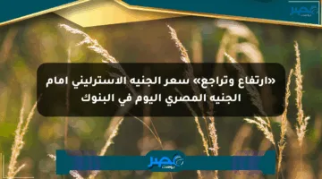 «ارتفاع وتراجع» سعر الجنيه الإسترليني أمام الجنيه المصري اليوم في البنوك